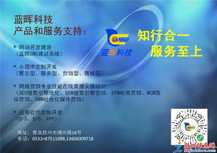 科技赋能未来 网站、小程序与软件开发引领应用服务新浪潮