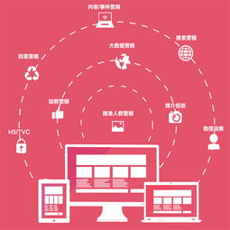 金华电商网站建设优选指南 科技推广与应用服务的核心伙伴